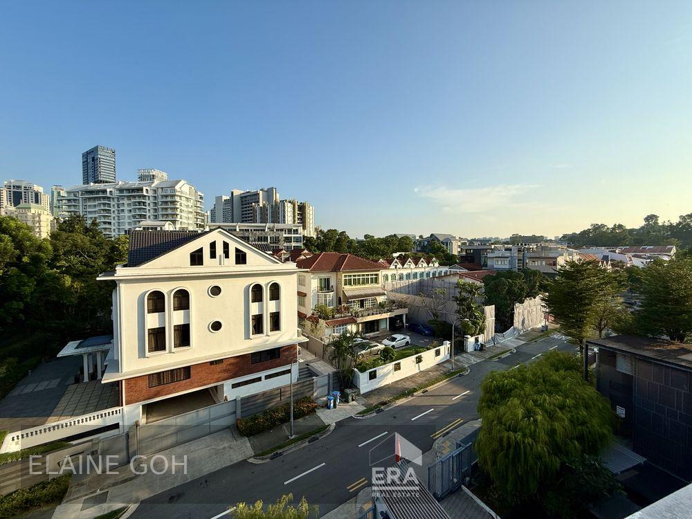 Freehold Penthouse Duplex 4 Room Converted to 3 Room Mrt 1 Km S C G S