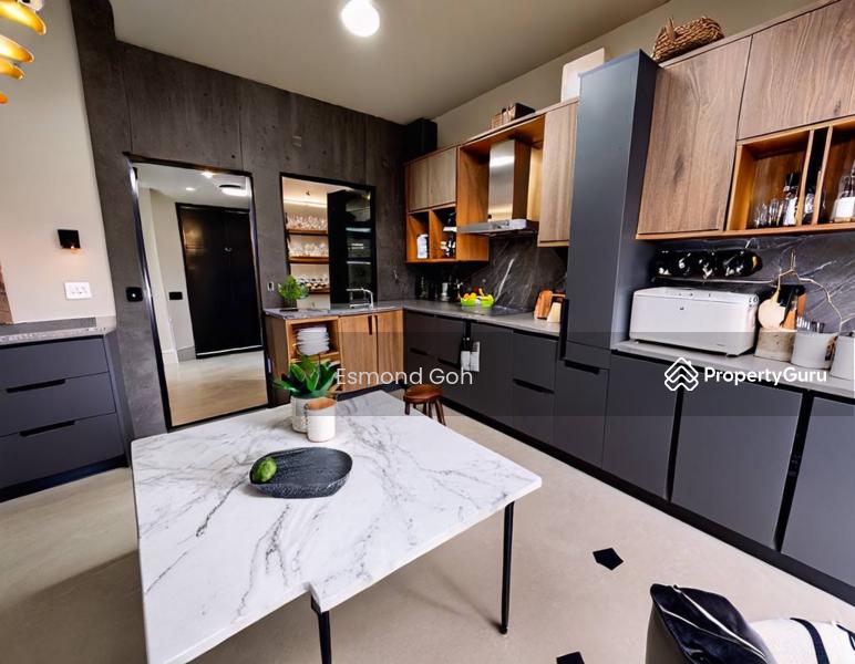 Large Inter Terrace in Geylang 