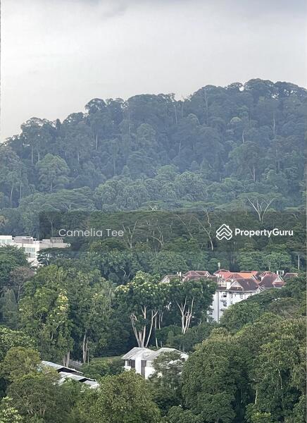 Bukit View