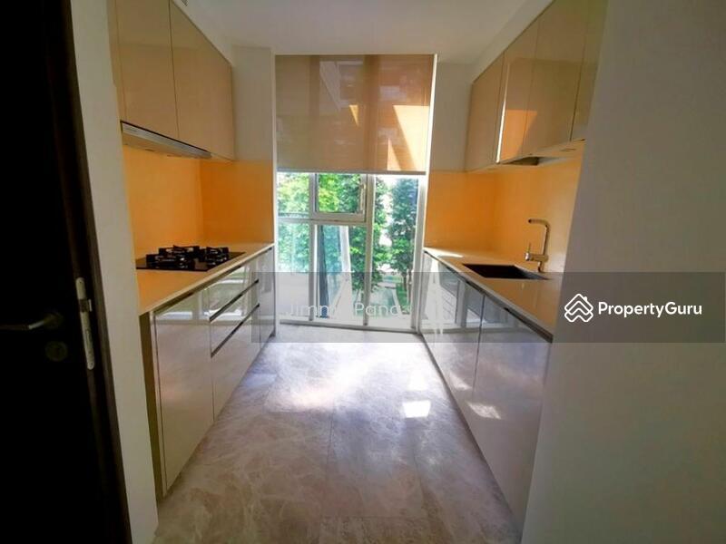 Corals at Keppel Bay