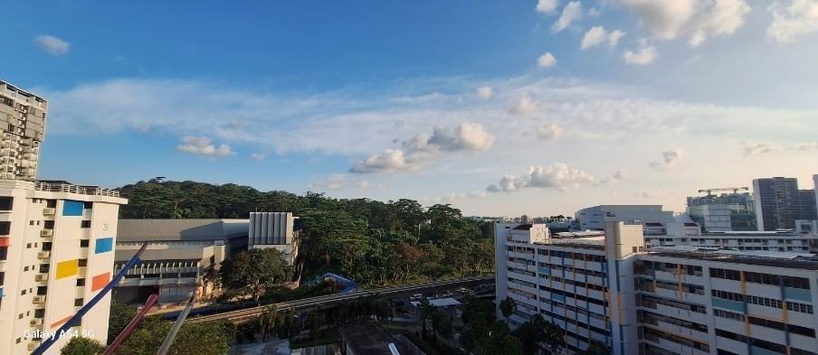 25 Teck Whye Lane HDB Apartment For Sale, $472,888, 3 Bed 2 Bath 990 sqft $478.00 psf