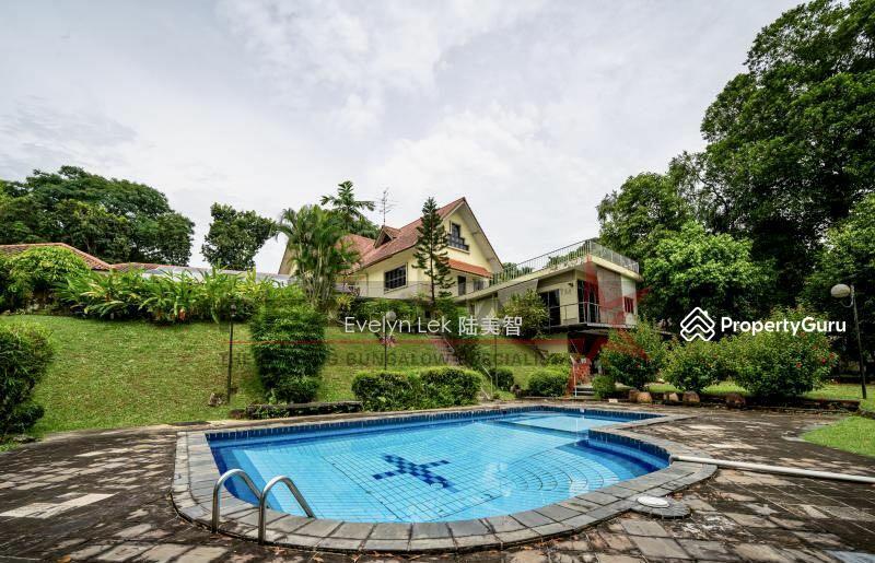 EVELYN 94889556ONLY $18xx psfSQUARE PLOTELEVATEDBEST VIEWCAMDEN PARK GCB: D11  Bungalow - Good Class | Prop-GPT the AI-Powered Property Guru