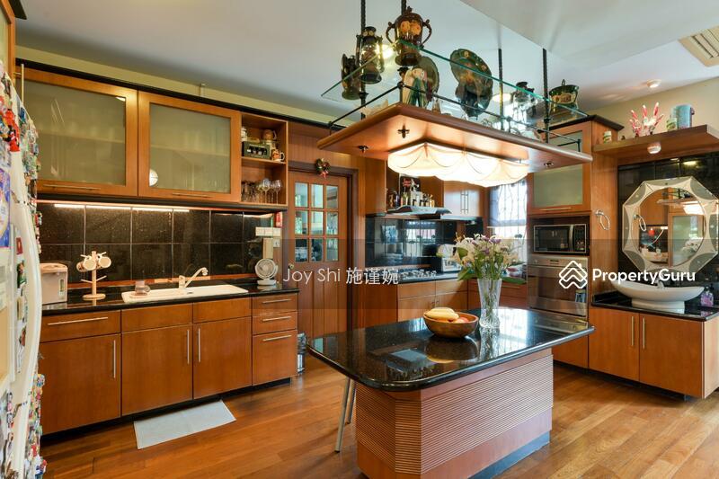 Super Cheap Detached House in Serangoon Garden