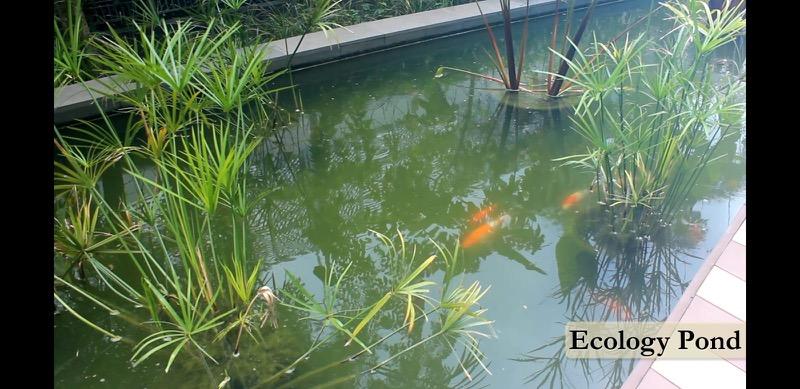 Bartley Ridge Condominium For Sale, $870,000, 1 Bed 1 Bath 463 sqft $1,879.00 psf