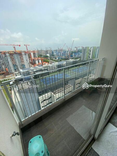 Blossoms @ Woodleigh