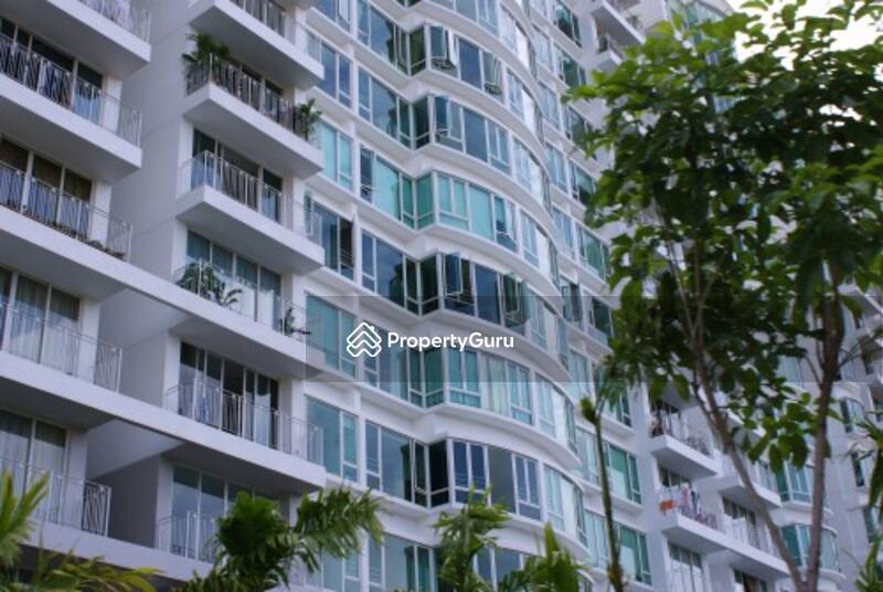 Blossoms @ Woodleigh