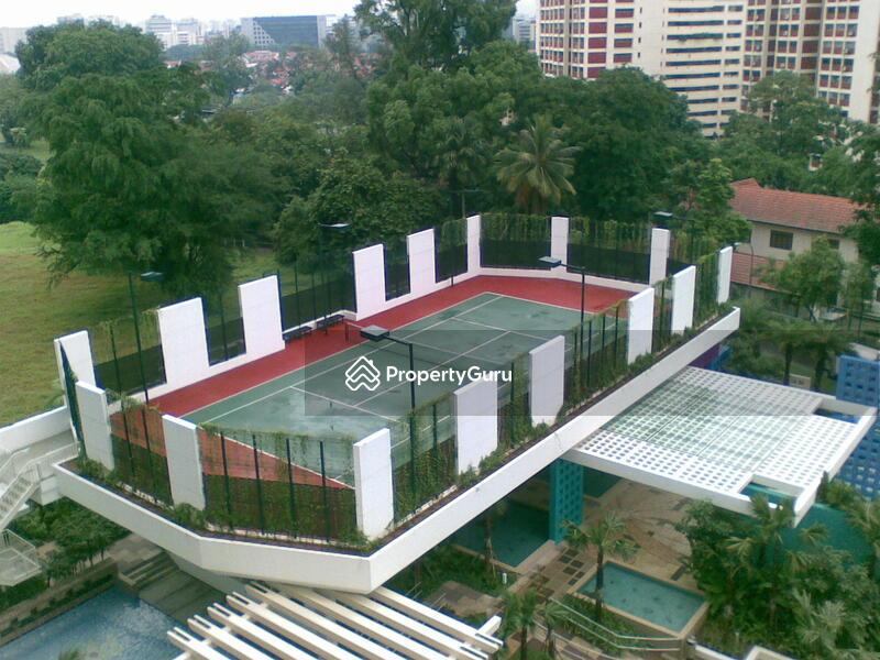 Blossoms @ Woodleigh