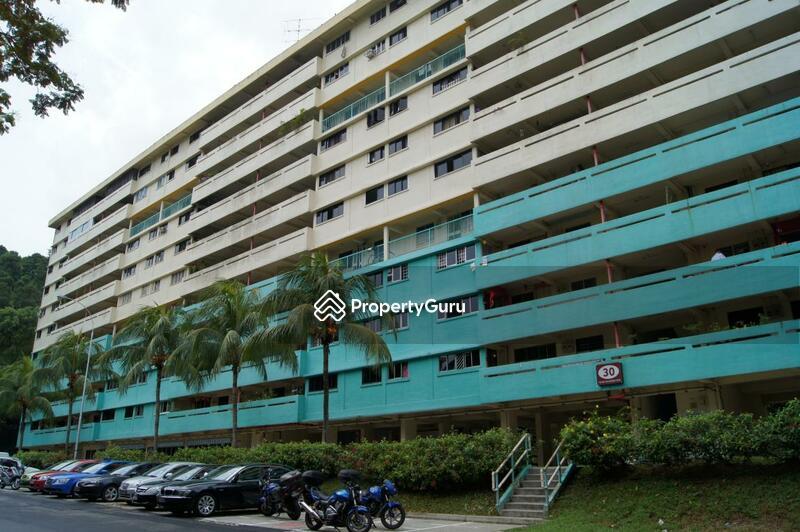 30 Telok Blangah Rise