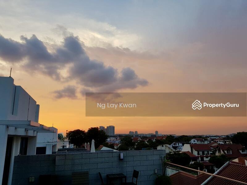 Verdana Villas @ Serangoon Garden