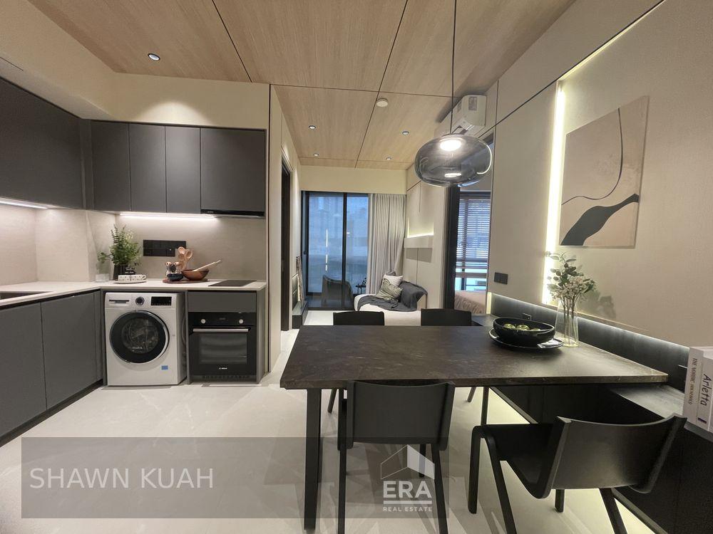 Freehold Ready to Move In. Brand New. Mins Walk to Farrer Park Mrt