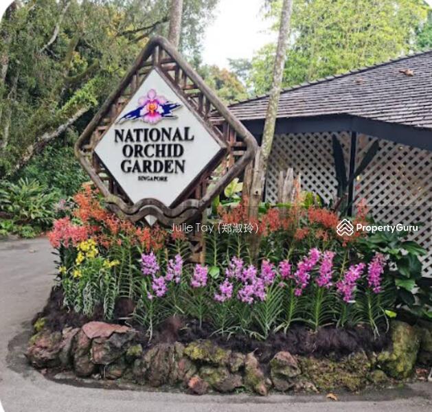 Be Mesmerised By The View! Elevated Land For Rebuilding. Leedon Park Locale
