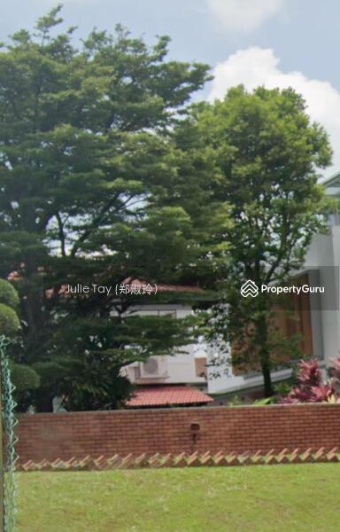 Be Mesmerised By The View! Elevated Land For Rebuilding. Leedon Park Locale