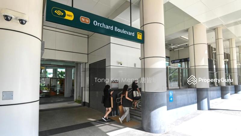 CHATSWORTH PARK VICINITY !! RARE FH BUNGALOW !! Walk to Orchard/Botanic Gdns, Pool9654.3774 TONG