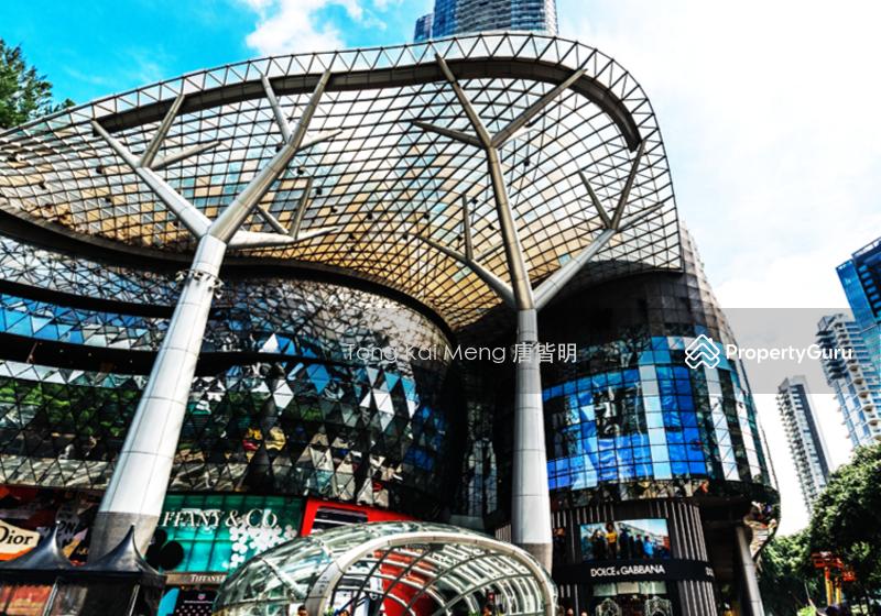 CHATSWORTH PARK VICINITY !! RARE FH BUNGALOW !! Walk to Orchard/Botanic Gdns, Pool9654.3774 TONG