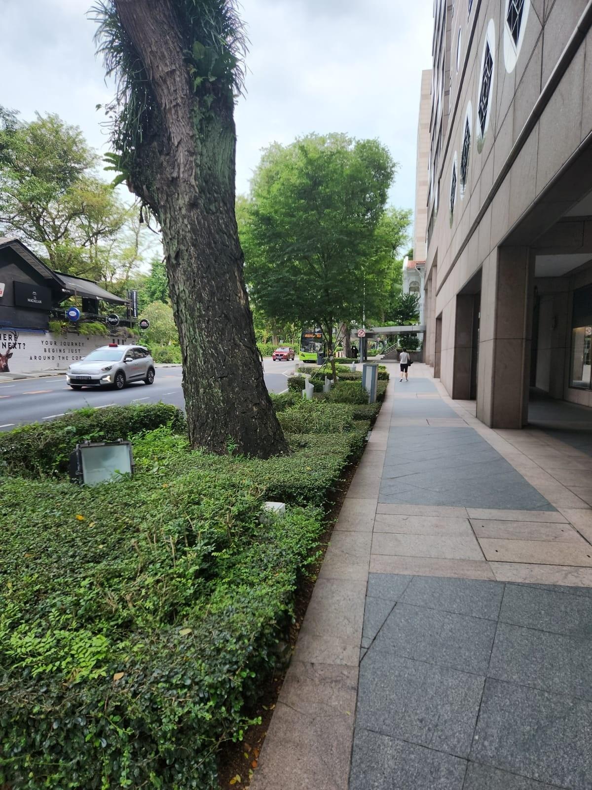 Orchard Court Apartment For Sale, $2,500,000, 4 Bed 3 Bath 1,453 sqft $1,721.00 psf