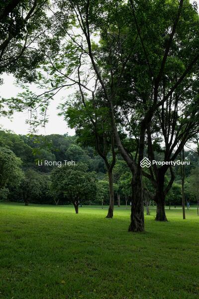  DEALMAKERS  D15 | DETACHED BUNGALOW! WALK TO AMENITIES!