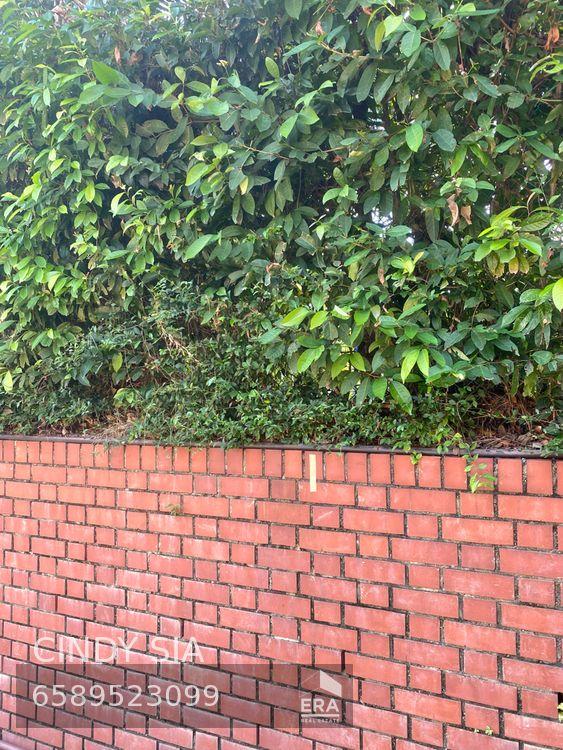 New, Exclusive Listing, Widest Road!