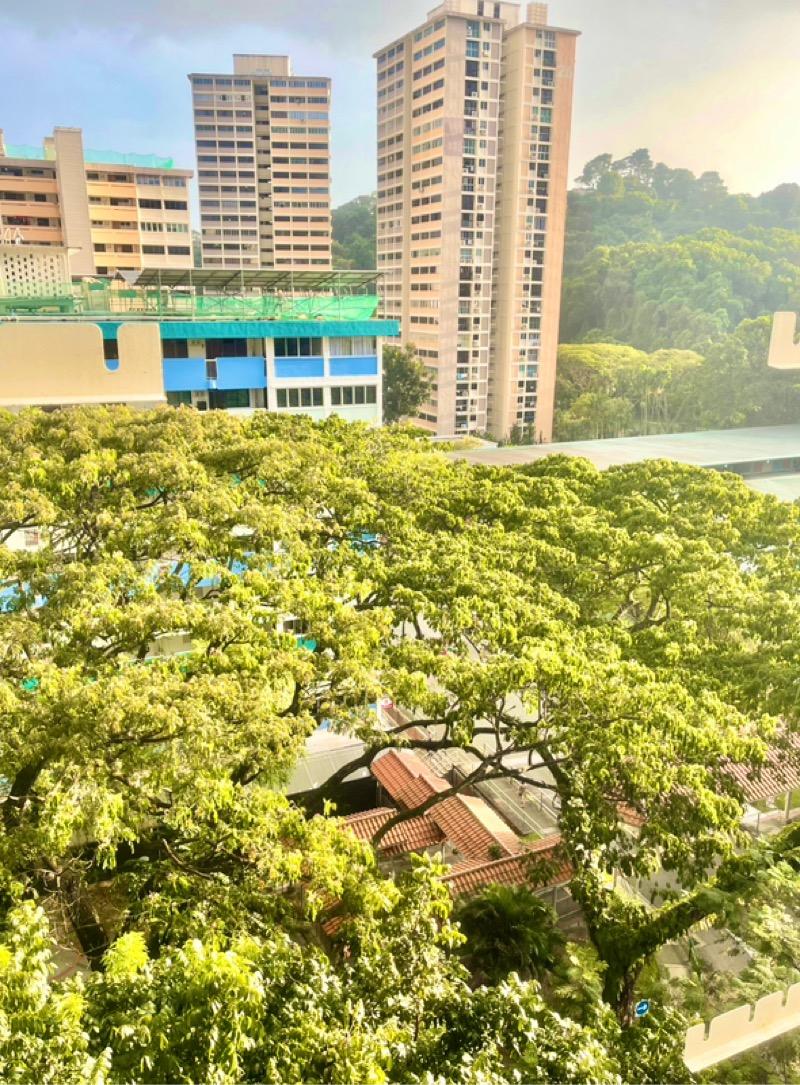 7 Telok Blangah Crescent HDB Apartment For Sale, $338,888, 1 Bed 1 Bath 333 sqft $1,018.00 psf