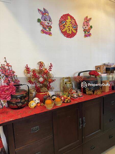 260 Jurong East Street 24