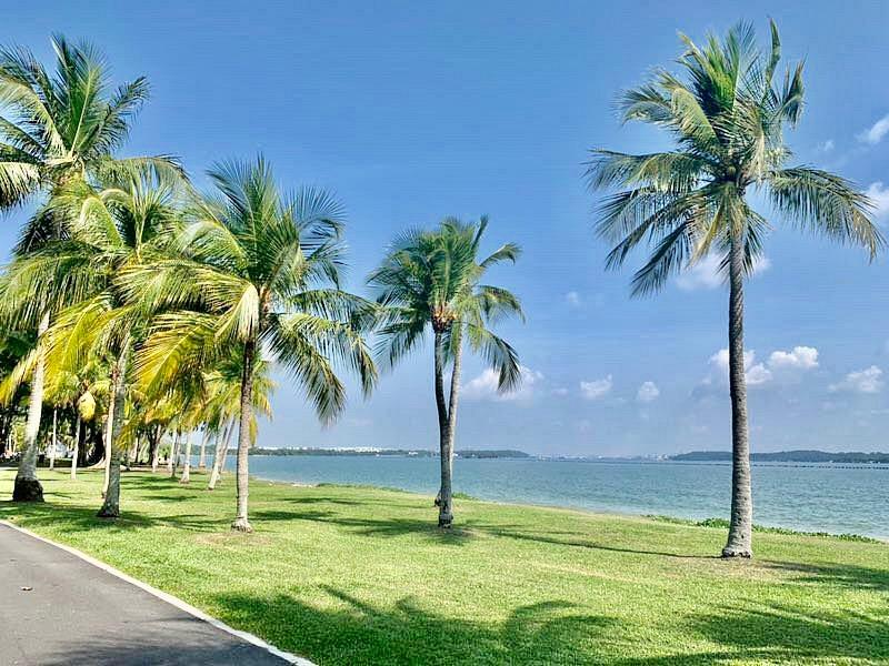 Prop-GPT: Semi-Detached: D18 Pasir Ris Pasi ris