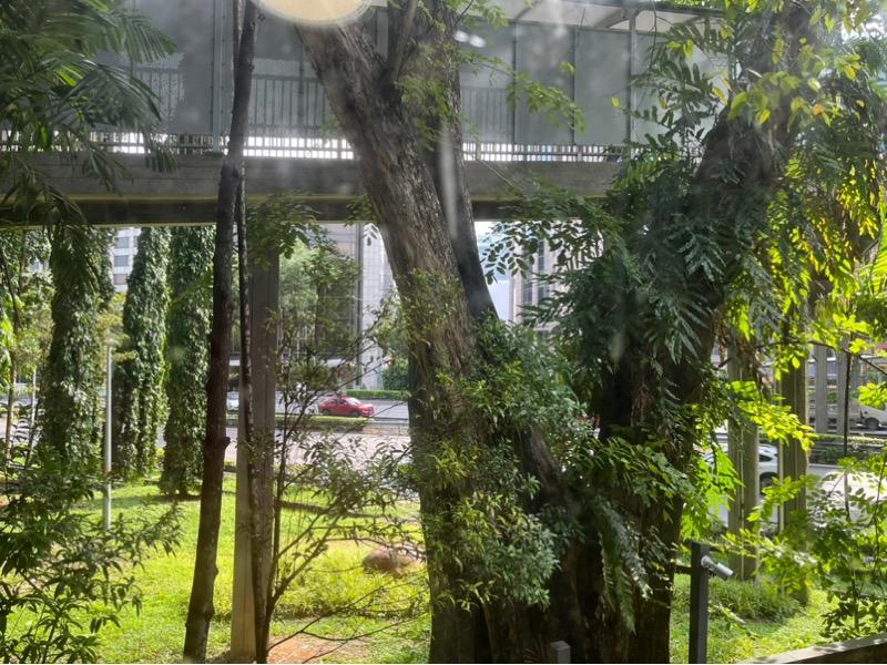 Hijauan Apartment For Sale, $2,400,000, 2 Bed 2 Bath 1,001 sqft $2,398.00 psf