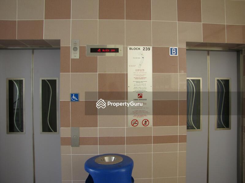 239 Bukit Panjang Ring Road