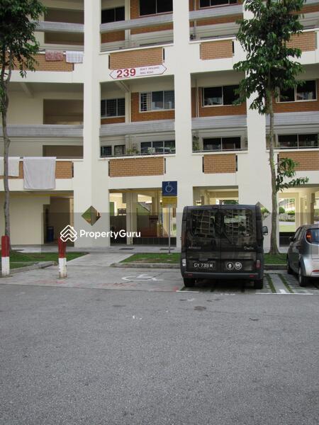 239 Bukit Panjang Ring Road