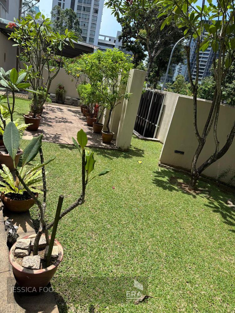 Freehold Detached House at D10