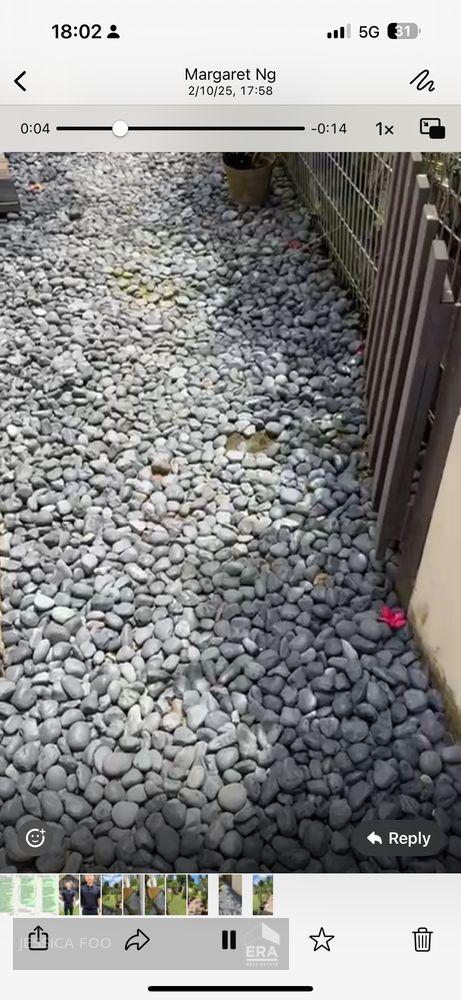 Freehold Detached House at D10