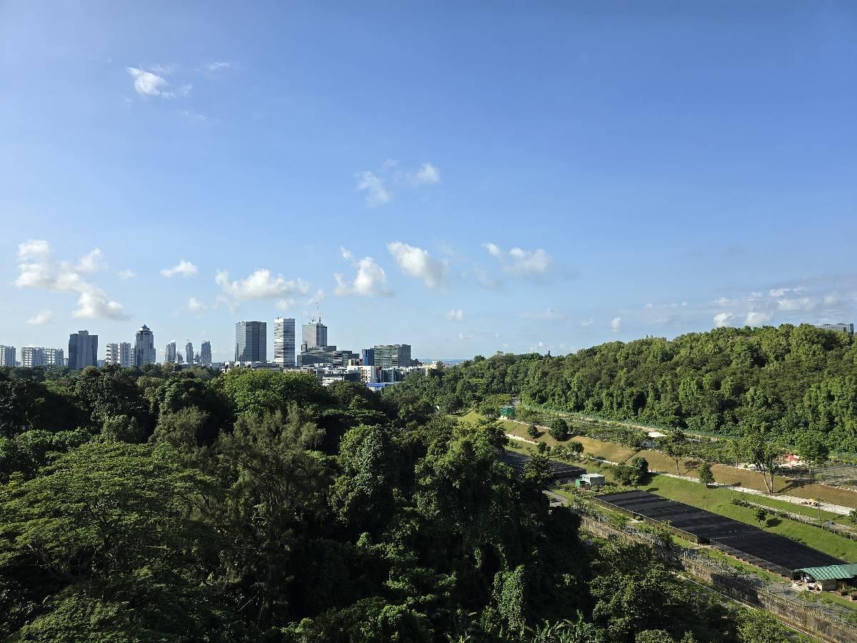 Normanton Park Condominium For Sale, $1,380,000, 2 Bed 1 Bath 657 sqft $2,100.00 psf