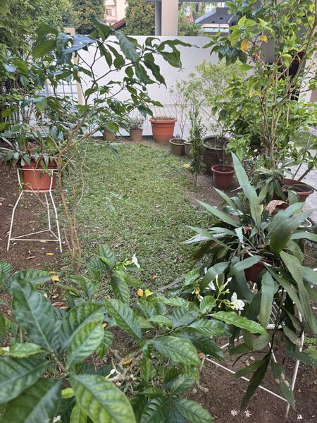 Jalan Lengkok Sembawang