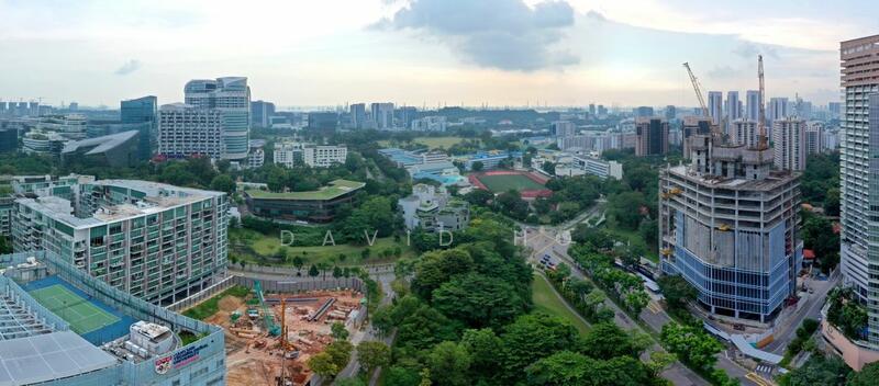 Blossoms By The Park