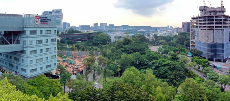 Blossoms By The Park