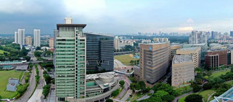 Blossoms By The Park