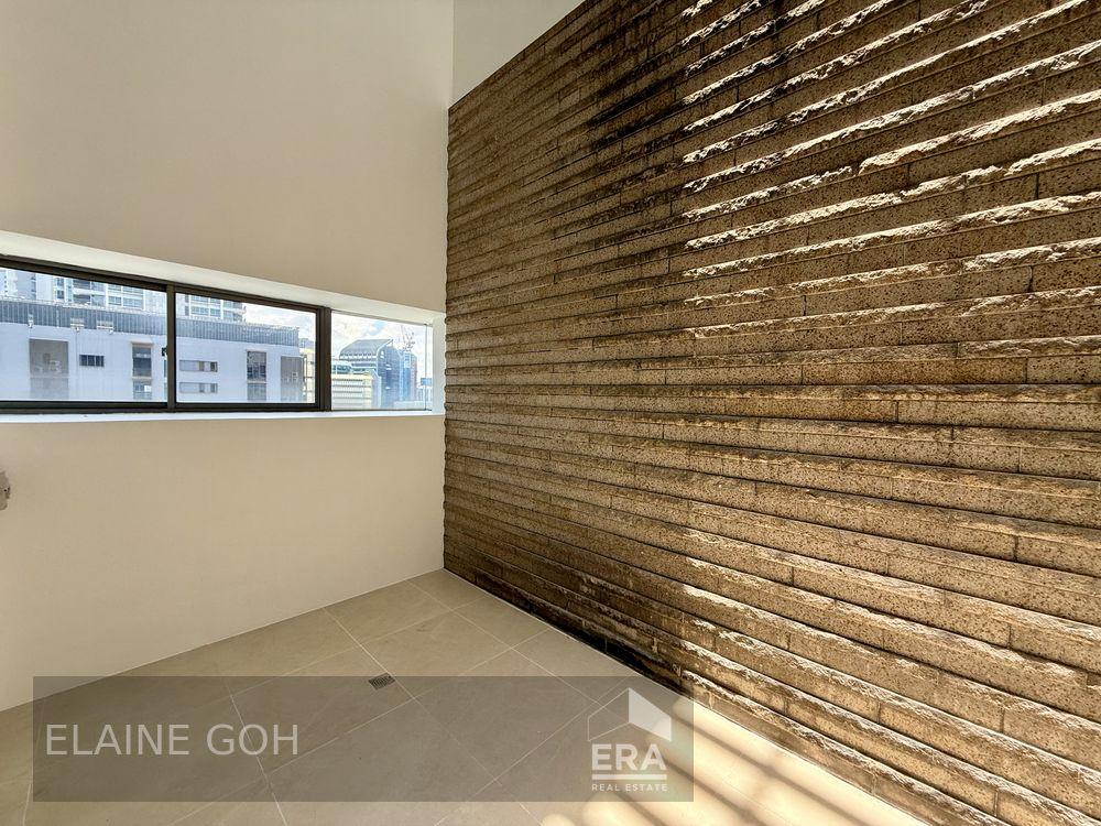 Freehold 3 Room Penthouse Triplex Balcony & Roof 1 Km River Valley Pri