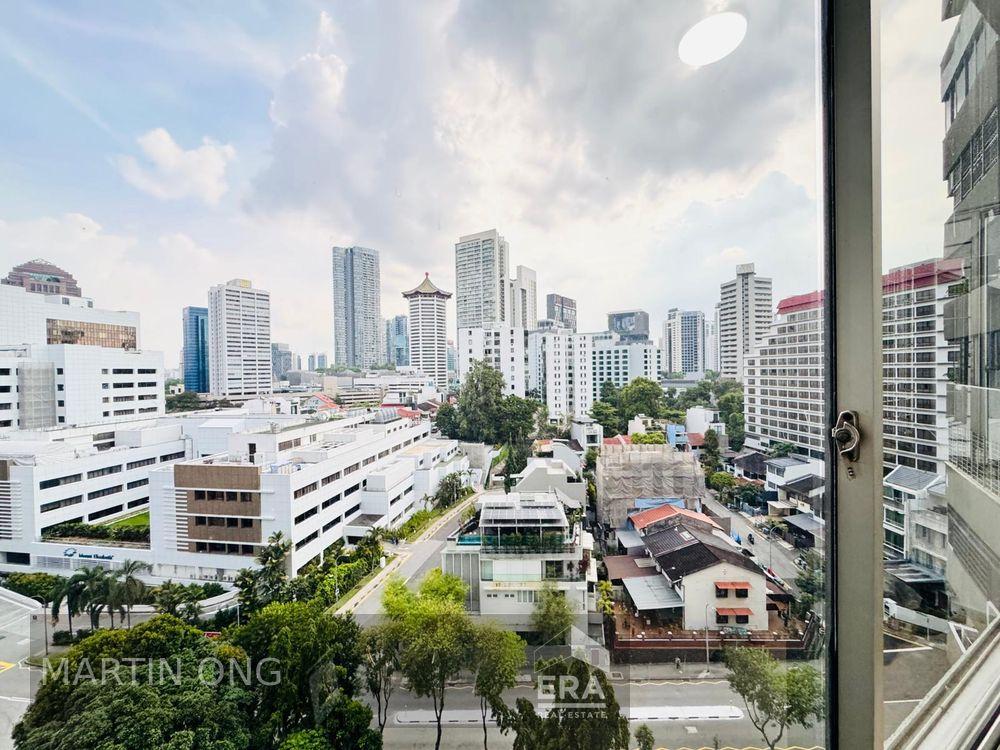 Mount Elizabeth, Cairnhill, Singapore, D09, 228512