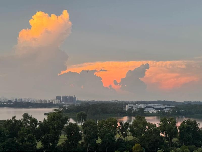 Orchid Park Condominium Condominium For Sale, $1,388,000, 3 Bed 3 Bath 1,206 sqft $1,151.00 psf