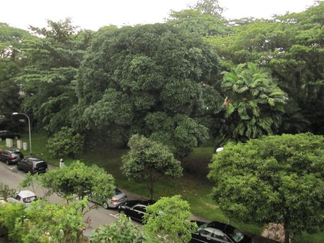 Newton Edge Condominium For Sale, $910,000, 1 Bed 1 Bath 463 sqft $1,965.00 psf