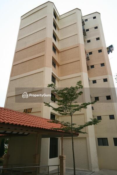 236 Jurong East Street 21