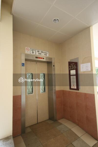 236 Jurong East Street 21