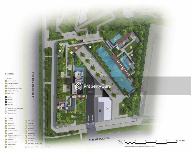 Blossoms By The Park