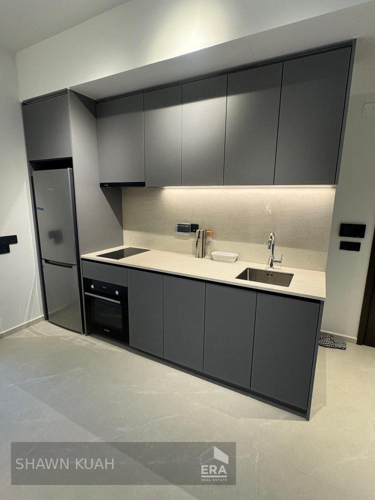 Freehold. Just Top. Brand New. Mins Walk to Farrer Park Mrt