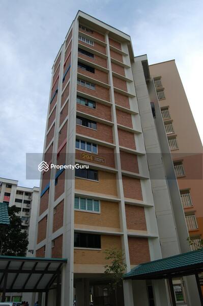 294 Tampines Street 22