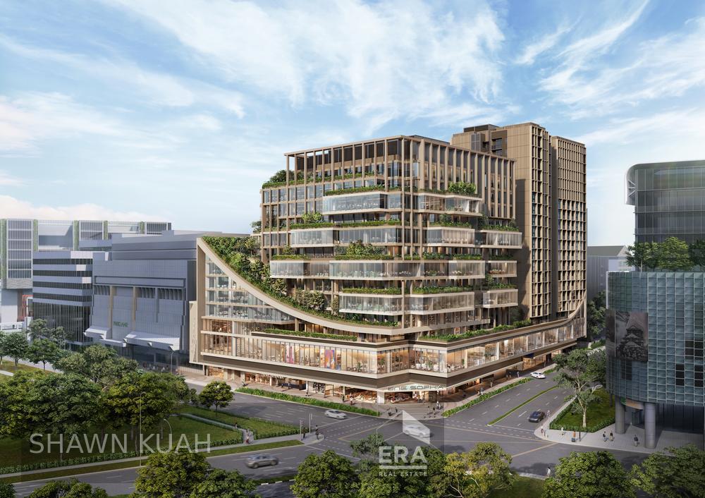 Flash Promo for a Limited Time Only. Direct From Developer