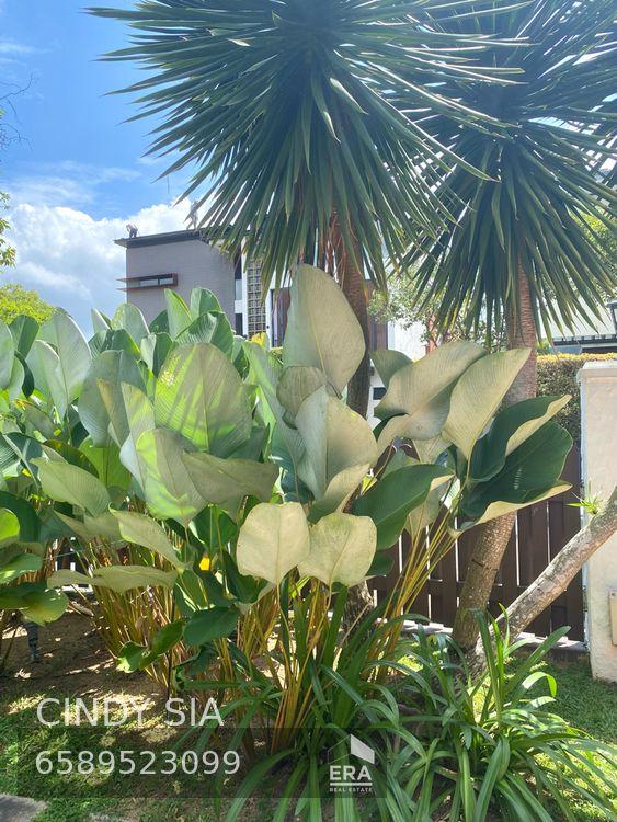 New, Exclusive Listing, Widest Road!