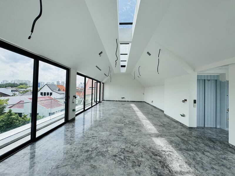 Brand New & Luxury with Lift & basement, Living& dining hall with great view & sky light