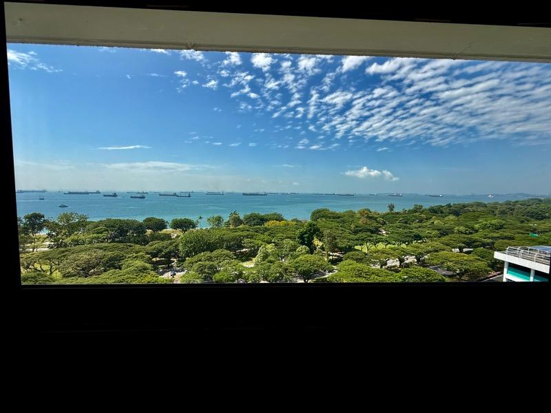 Prop-GPT: HDB Apartment: D15 Marine Parade 3 Marine Terrace