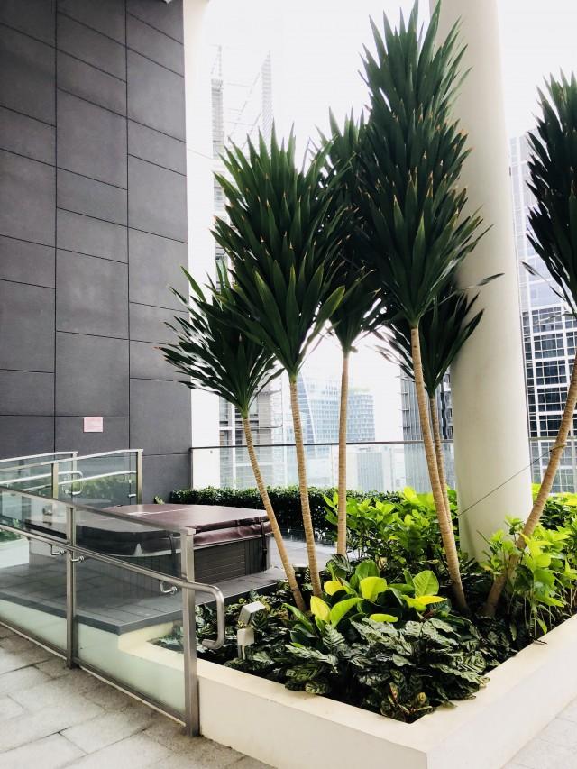 The Laurels @ Cairnhill Road Condominium For Sale, $1,600,000, 1 Bed 1 Bath 549 sqft $2,914.00 psf