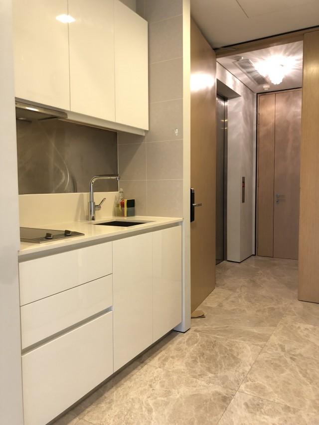 The Laurels @ Cairnhill Road Condominium For Sale, $1,600,000, 1 Bed 1 Bath 549 sqft $2,914.00 psf