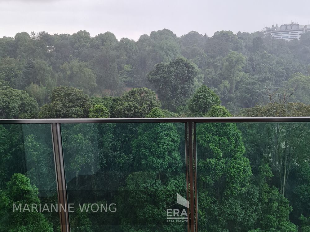 Two Bedrooms 1 Bath With Lovely Park/greenery View; Quiet With Privacy